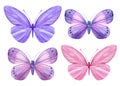 Butterflies set isolated on a white background. Watercolor Illustration for your design. Purple and pink butterfly Royalty Free Stock Photo