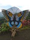 Butterflies Set in Mount Inerie Manulalu Bajawa Royalty Free Stock Photo