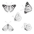 Butterflies Set in Vector Monochrome Line Graphic