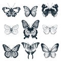 Butterflies set. Vector sketch illustration. Creative summer or spring insects collection isolated on white background