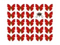 Butterflies showing concept of difference, individuality, crowd, standing out