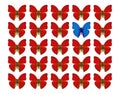 Butterflies showing concept of difference, individuality, crowd, standing out, freedom, i