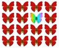 Butterflies showing concept of difference, individuality, crowd, standing out, freedom,