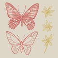 Butterflies silhouettes. Butterfly card template on romantic ckground. Graphic illustration.