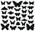 Butterflies silhouettes. Hand drawn butterfly, drawing insect graphic. Black drawing butterflies silhouettes isolated