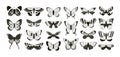 Butterflies silhouettes. Moth and butterfly wings pattern laser cut outline. Flying insect decorative element