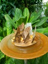 Butterflies sit on orange slices in a closed pavilion on Mainau Flower Island, Constance, Germany. Vertical