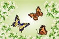 Butterflies Swallowtail and Vanessa in jasmine trees vector