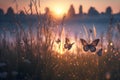 butterflies tall grass beauty in nature field flowers sunset dusk bokeh effect