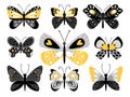 Butterflies vector color illustrations set