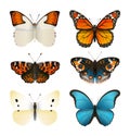 Butterflies vector set. Colorful flat butterfly. Realistic color gradient. Royalty Free Stock Photo