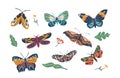 Butterflies With Vibrant Wings And Fluttering Flight. Symbolizing Transformation And Beauty, Graceful Creatures