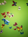 Butterflies on the wall green background colors