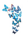 Butterflies wall stickers