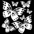 Butterflies white on the black background T-shirt print