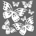 Butterflies white on the gray background T-shirt print