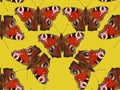 Seamless pattern with butterflies. Royalty Free Stock Photo