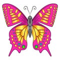 Beautiful delicate air butterfly of pink color.Vector  illustration isolated on white background. Royalty Free Stock Photo