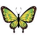 Realistic image. Bright butterfly on a white background.