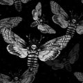 Seamless pattern. Butterfly Acherontia atropos dead head, adam's head. Black and white graphics handmade. Pattern