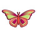 Butterfly archippus sangaris icon, cartoon style