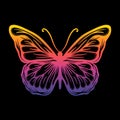 Butterfly art Illustration hand drawn gradient colorful vector for sticker, poster Royalty Free Stock Photo