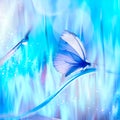 Butterfly on the background of bright blue grass. Spring summer creative macro image. Royalty Free Stock Photo