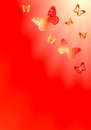 Butterfly Background red