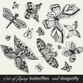 Butterfly Background, vintage insect set,