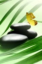 Butterfly, Balanced Stones. Palm Leaf. Spa Concept. Royalty Free Stock Photo