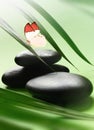 Butterfly, Balanced Stones. Palm Leaf. Zen and Spa Concept. Royalty Free Stock Photo