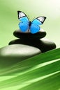 Butterfly, Balanced Stones. Palm Leaf. Zen and Spa Concept Royalty Free Stock Photo