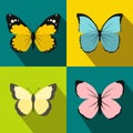 Butterfly banners set, flat style Royalty Free Stock Photo