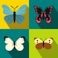 Butterfly banners set, flat style Royalty Free Stock Photo