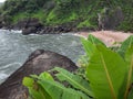 butterfly beach in goa. goa beach.