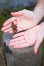 Butterfly in beautiful female hands with red manicure.