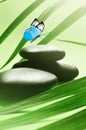 Butterfly, Balanced Stones. Palm Leaf. Zen and Spa Concept Royalty Free Stock Photo