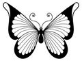 Butterfly black decorative element. Elegant ornate wings Royalty Free Stock Photo