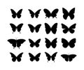 Butterfly black icons. Collection black Butterflies. Isolated black Butterflies. Butterfly icons