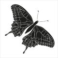 Butterfly black silhouette art illustration. Insect butterfly for stickers, tattoo, silhouette, scrapbook. Winged Royalty Free Stock Photo