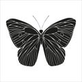 Butterfly black silhouette art illustration. Insect butterfly for stickers, tattoo, silhouette, scrapbook. Winged