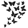 Butterfly black silhouettes. Fly butterflies wedding decor elements, abstract flying beautiful forest and garden insects