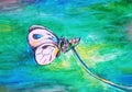 Butterfly with a black spot drinks a nector with a pink flower with a long stem on a thick green background