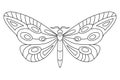 Butterfly black white isolated sketch illustration. Coloring page for kids and adults. Royalty Free Stock Photo