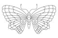 Butterfly black white isolated sketch illustration. Coloring page for kids and adults. Royalty Free Stock Photo