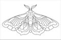 Butterfly black white isolated sketch illustration. Coloring page for kids and adults. Royalty Free Stock Photo