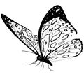 Butterfly black and white isolated on white background, vector insect, monochrome illustration, coloring book, banner, card, poste