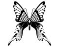 Butterfly Black & White silhouette design