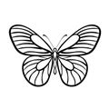 Butterfly Black And White Vector