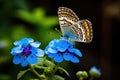 Butterfly on blue flower in the garden, nature background, Beautiful butterfly perched on a blue flower, AI Generated